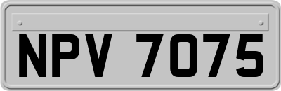 NPV7075