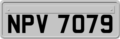 NPV7079