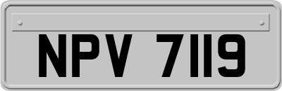 NPV7119