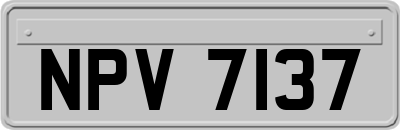 NPV7137
