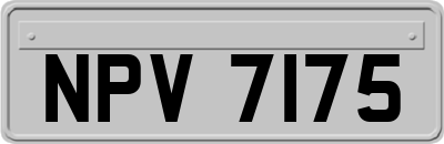 NPV7175