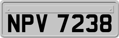 NPV7238