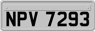 NPV7293