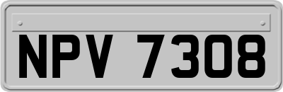 NPV7308