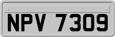 NPV7309