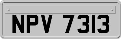 NPV7313