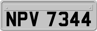NPV7344