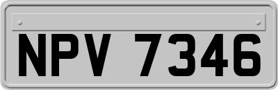 NPV7346