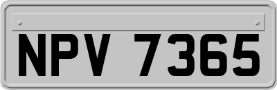 NPV7365
