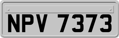 NPV7373
