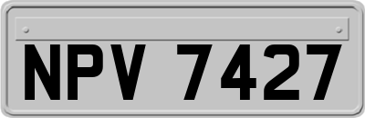 NPV7427
