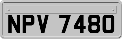 NPV7480