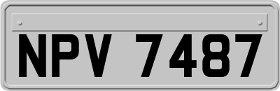 NPV7487