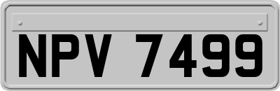 NPV7499