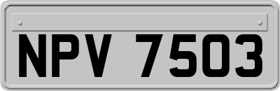 NPV7503