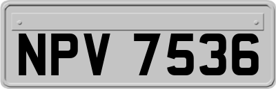 NPV7536