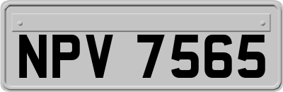 NPV7565