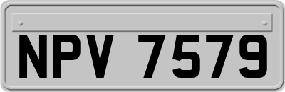 NPV7579