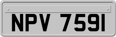 NPV7591