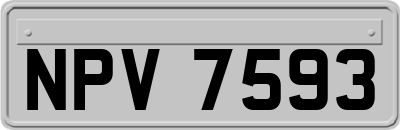 NPV7593