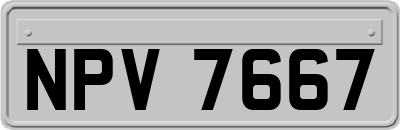 NPV7667