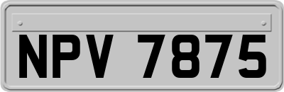 NPV7875