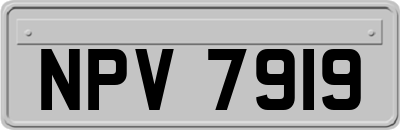 NPV7919