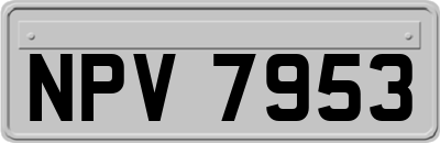 NPV7953