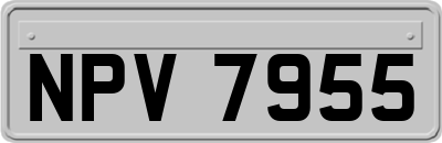 NPV7955