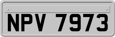 NPV7973