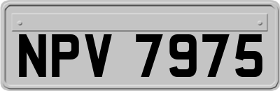 NPV7975