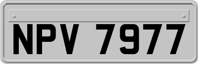 NPV7977