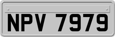 NPV7979