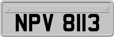 NPV8113