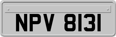 NPV8131