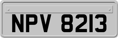 NPV8213