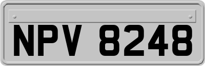 NPV8248