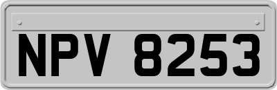 NPV8253