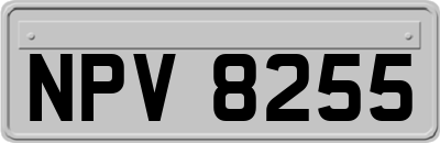 NPV8255