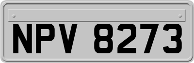 NPV8273