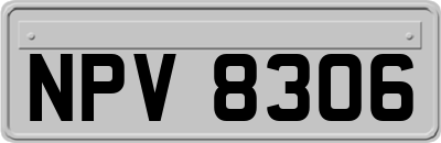 NPV8306