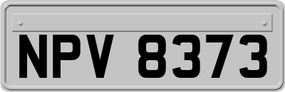 NPV8373