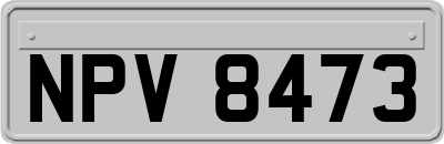 NPV8473