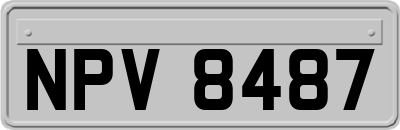 NPV8487