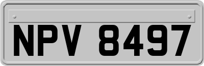 NPV8497