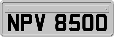 NPV8500