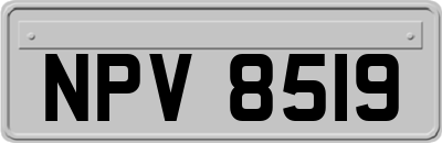 NPV8519