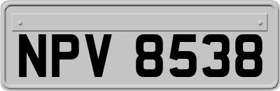 NPV8538