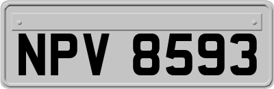 NPV8593