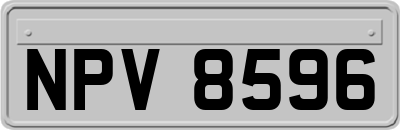 NPV8596